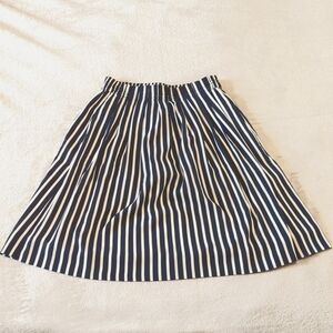 Striped Knee Length Skirt
